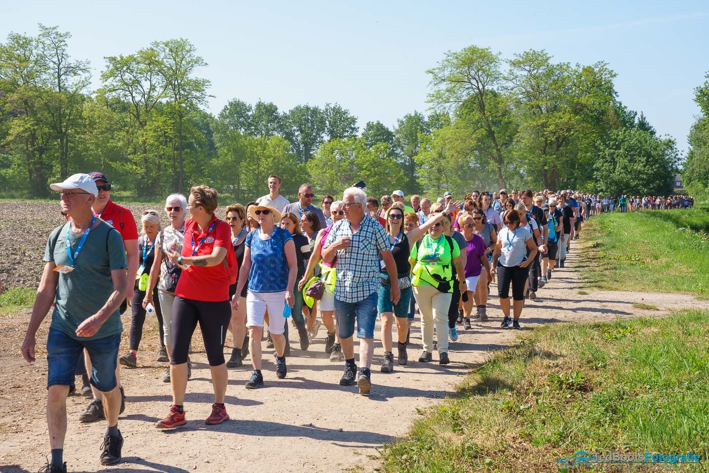 Honderden wandelaars lopen door groen landschap tijdens Venloop.