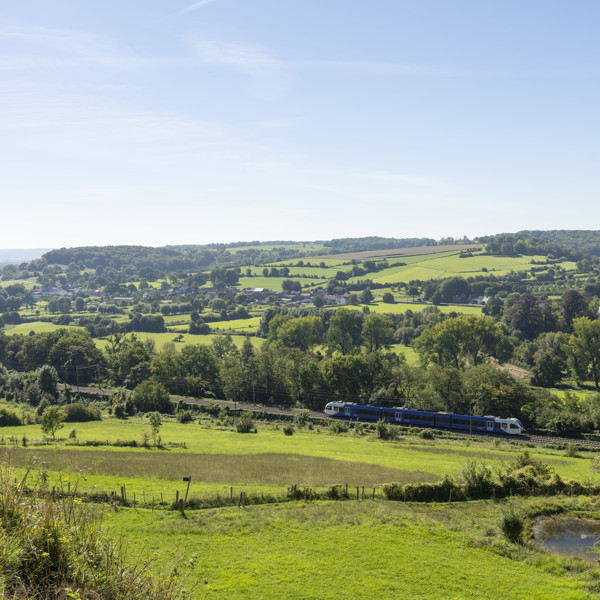 Blauwwitte trein van Arriva rijdt door heuvellandschap in Limburg. Blauwwitte trein van Arriva rijdt door heuvellandschap in Limburg.